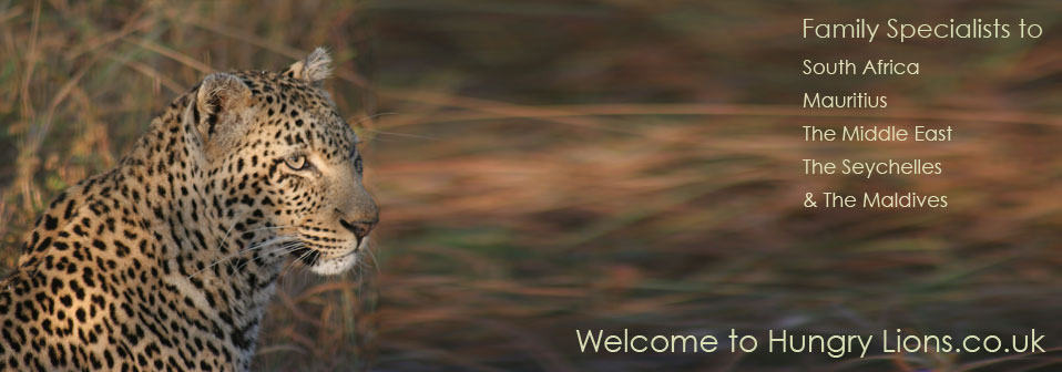 Welcome to Hungry Lions - Family specialists to South Africa, Mauritius, The Middle East, The Seychelles & The Maldives